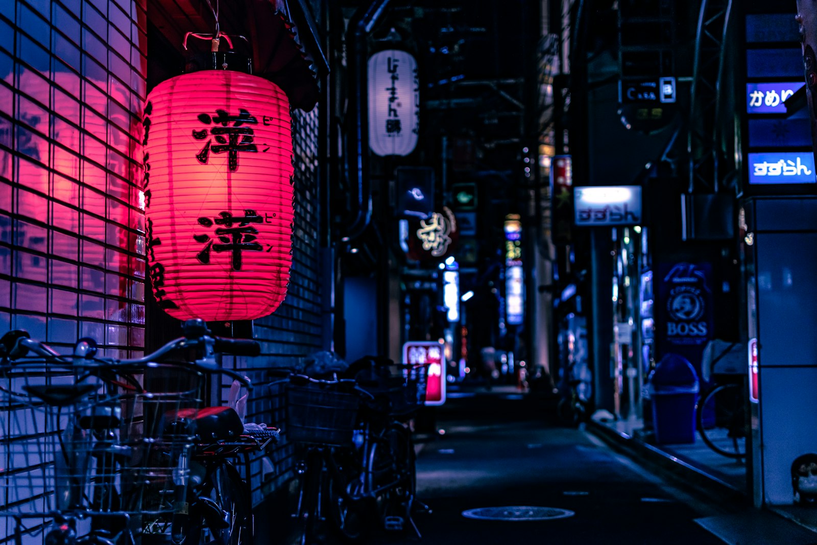 紙